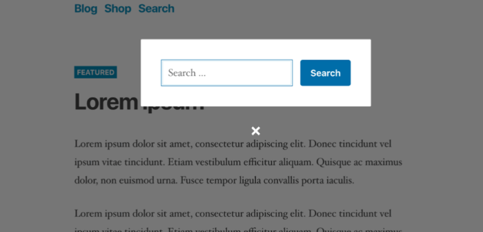 wordpress custom search form