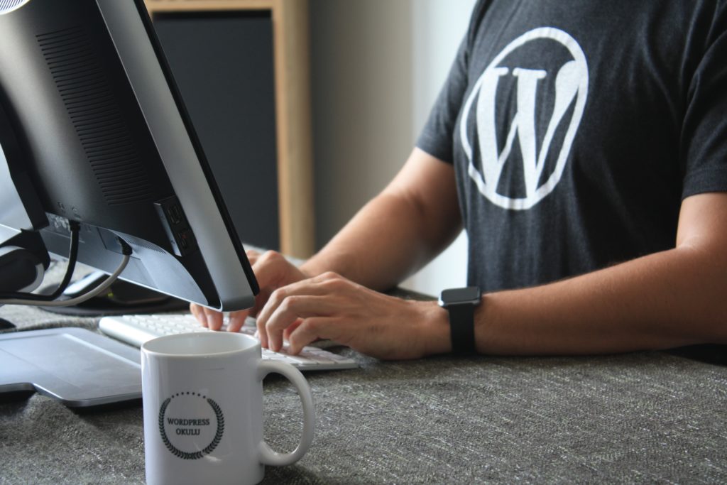 WordPress for Your eCommerce